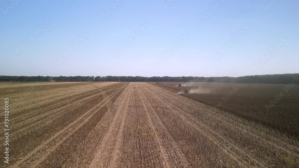 Combine harvesting sunflower on the field Combine harvesting sunflower on the field
