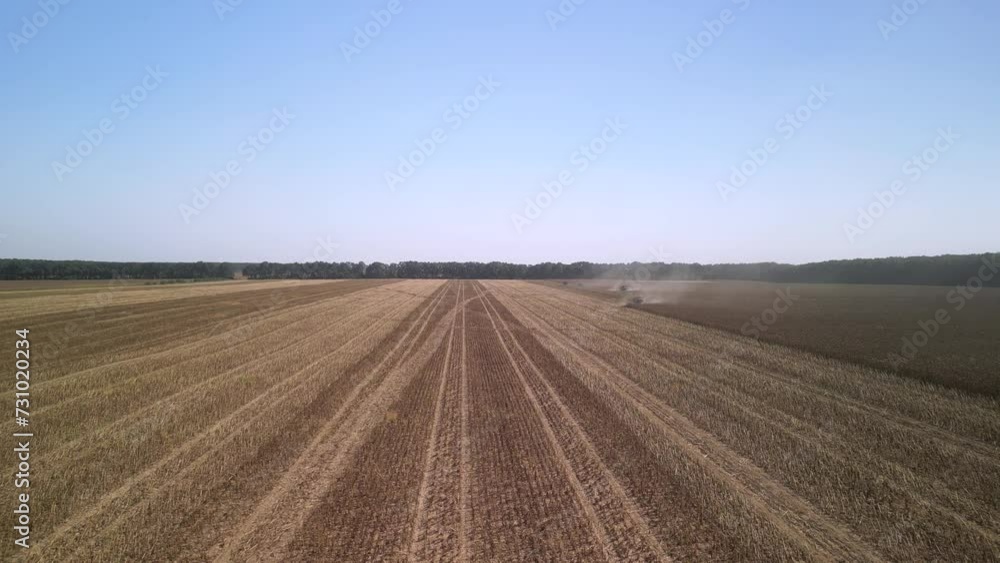 Combine harvesting sunflower on the field Combine harvesting sunflower on the field