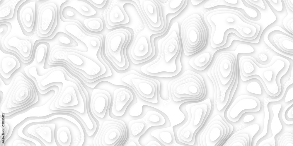 Abstract geometric layered curve line white background. 3d white papercut topography relief. Cover layout template. paper cut topography soft background banner texture. light liquid wave illustration. Abstract geometric layered curve line white background. 3d white papercut topography relief. Cover layout template. paper cut topography soft background banner texture. light liquid wave illustration.