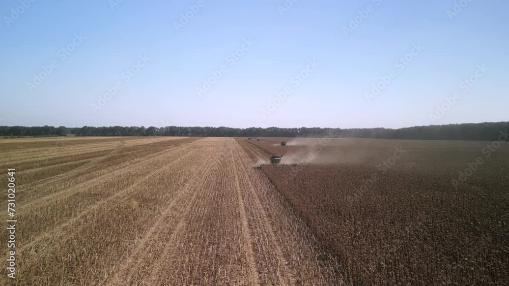 Combine harvesting sunflower on the field Combine harvesting sunflower on the field
