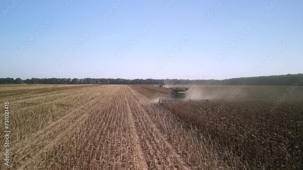 Combine harvesting sunflower on the field Combine harvesting sunflower on the field