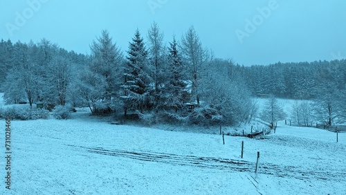 Schneelandschaft