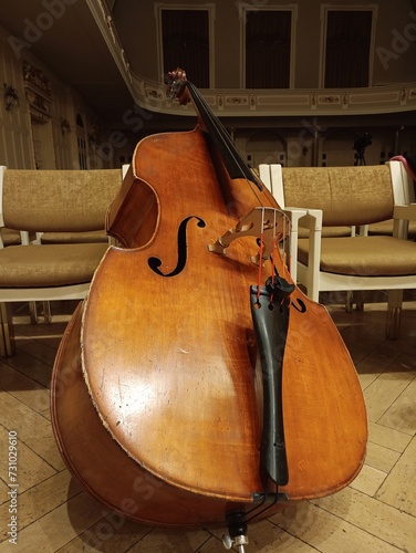 The Cello’s Charm, Wood and Strings. photo