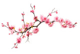 Elegant Pink Blossoms on Transparent Background - Floral PNG Clipart for Design Projects