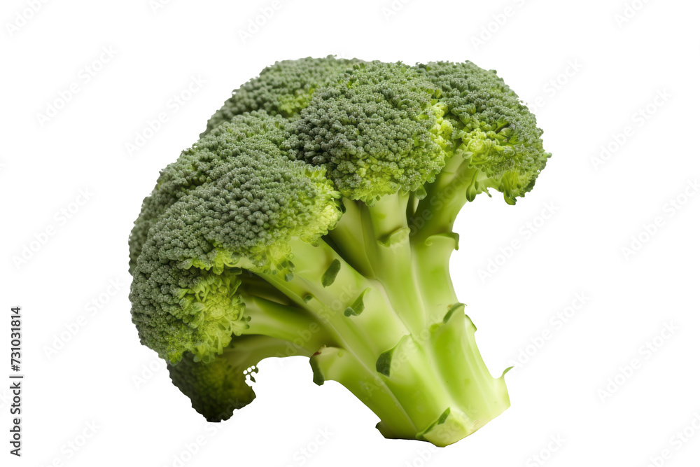 Fresh Broccoli Isolated on Transparent Background - High-Quality PNG Image Fresh Broccoli Isolated on Transparent Background - High-Quality PNG Image