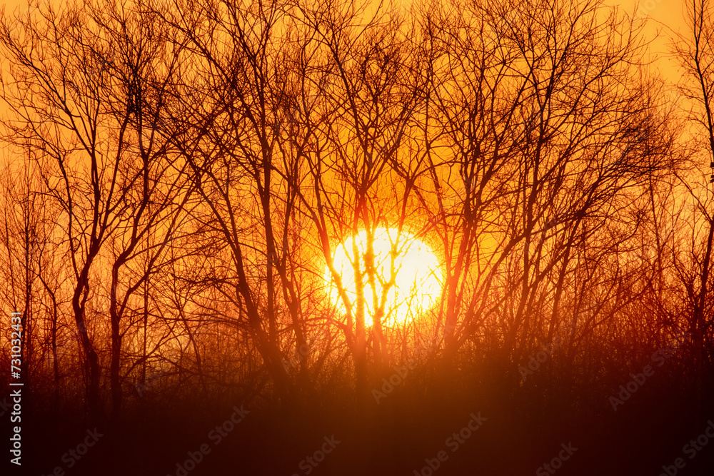 Spring landscape. Sunrise of the solar disk over the northern icy river, on the bare winter floodplain forests. Northeast of Europe Spring landscape. Sunrise of the solar disk over the northern icy river, on the bare winter floodplain forests. Northeast of Europe