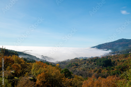 Sea of ​​clouds over a forest and the sky in the background