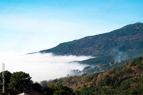 Sea of       clouds over a forest and the sky in the background