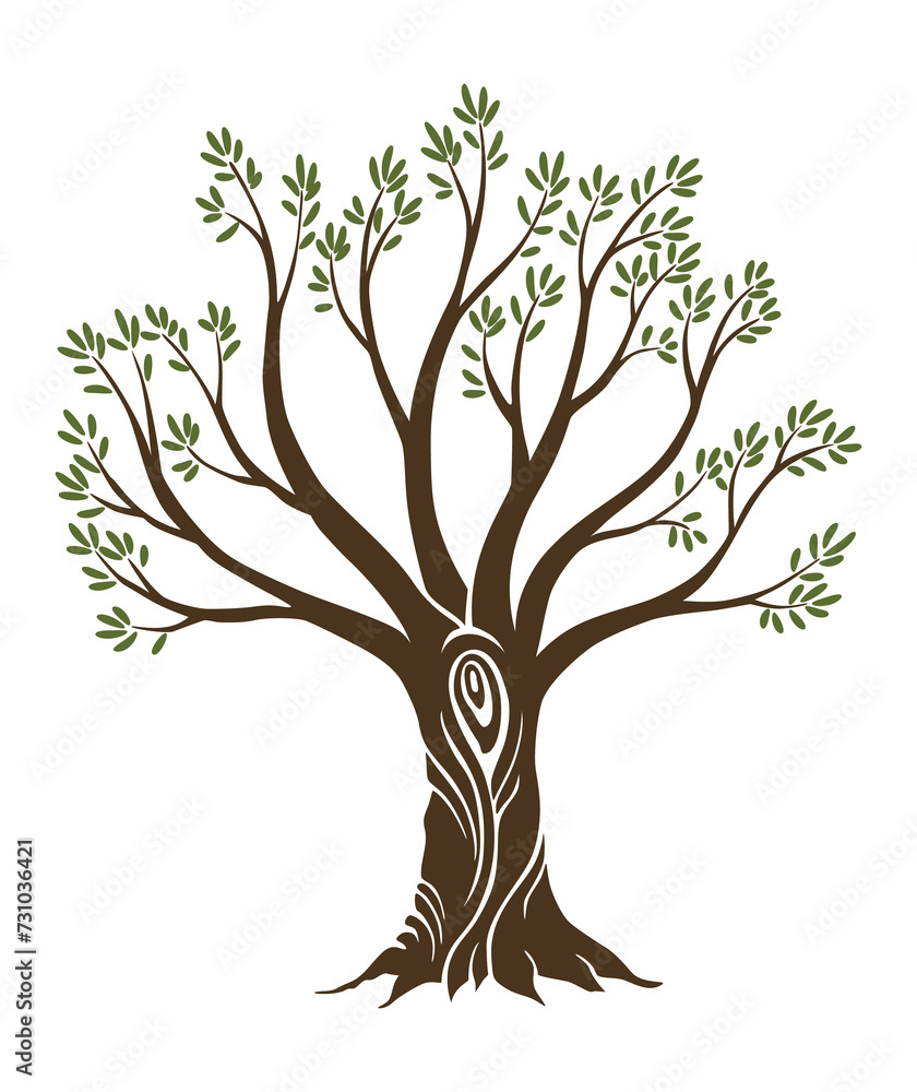 Olive trees with branches and leaves for design of packaging, label, logotype or banner. Natural organic stylized olive icon, premium quality sign. illustration Olive trees with branches and leaves for design of packaging, label, logotype or banner. Natural organic stylized olive icon, premium quality sign. illustration