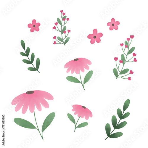 pink flower set illustration 