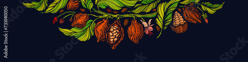 Cocoa tree banner, print Bean, leaves, choco fruit