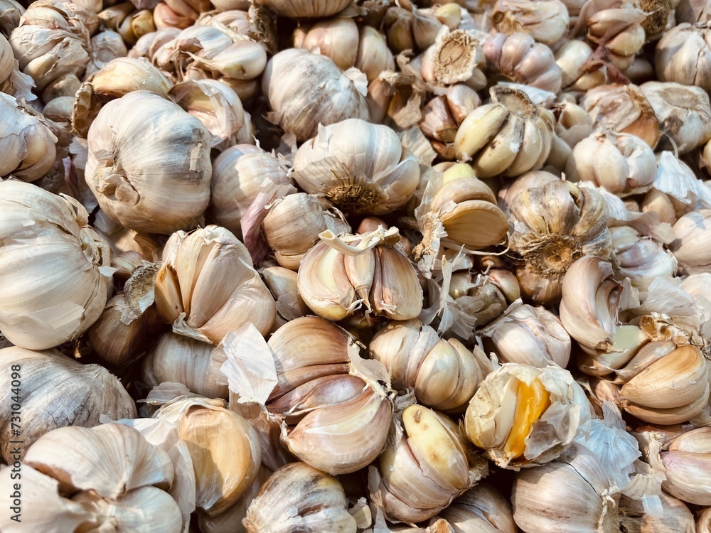 garlic on the market garlic on the market