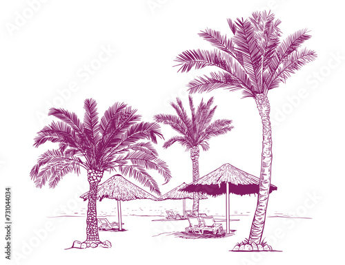 Seashore, palm trees, beach umbrellas and sun loungers outdoors. Hand drawn vector illustration of exotic holidays.