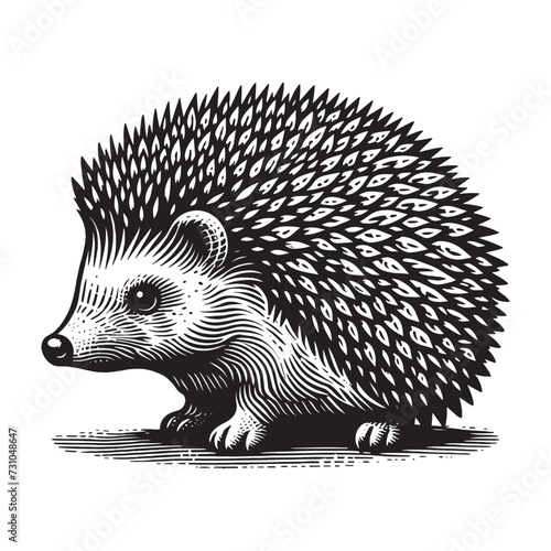 Hedgehog. Vintage engraving illustration. Icon, logo, emblem. Isolated object. Black and white. Outline vector illustration