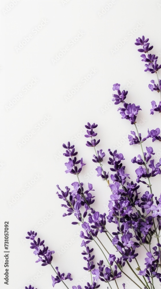 Naklejka premium A flat lay arrangement features a purple flower against a white background, offering ample copy space for text or other elements.