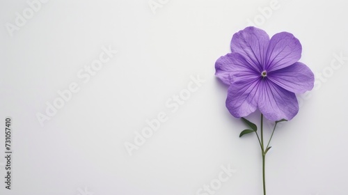 A flat lay arrangement features a purple flower against a white background, offering ample copy space for text or other elements.