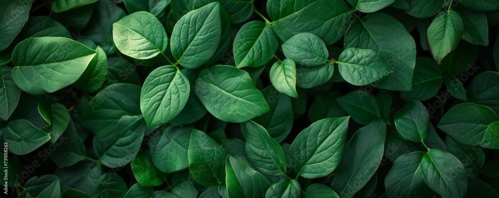An illustration featuring a full-frame shot of fresh green leaves, creating a natural and vibrant background reminiscent of nature's beauty. An illustration featuring a full-frame shot of fresh green leaves, creating a natural and vibrant background reminiscent of nature's beauty.