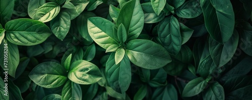 An illustration featuring a full-frame shot of fresh green leaves  creating a natural and vibrant background reminiscent of nature s beauty.
