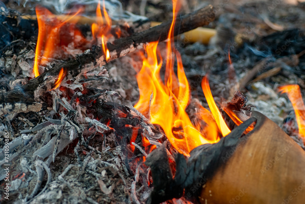 Bonfire burning flame and ashes on a blurred background. Bonfire burning flame and ashes on a blurred background.