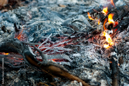Bonfire, ashes, charcoal and smoke from burning on the background blur.