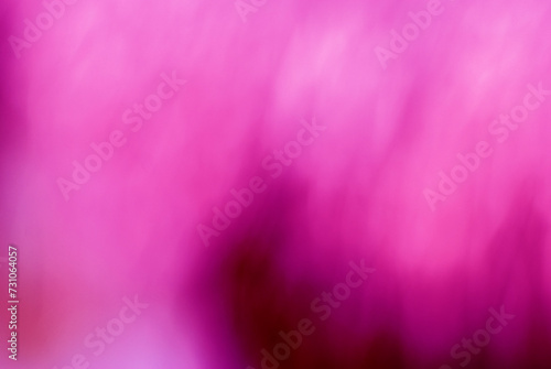 Abstract pink and black gradient blurred background used for media making.