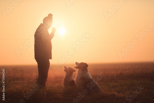 silhouette of two australian shepherd dogs sitting playing with a woman against a setting sun