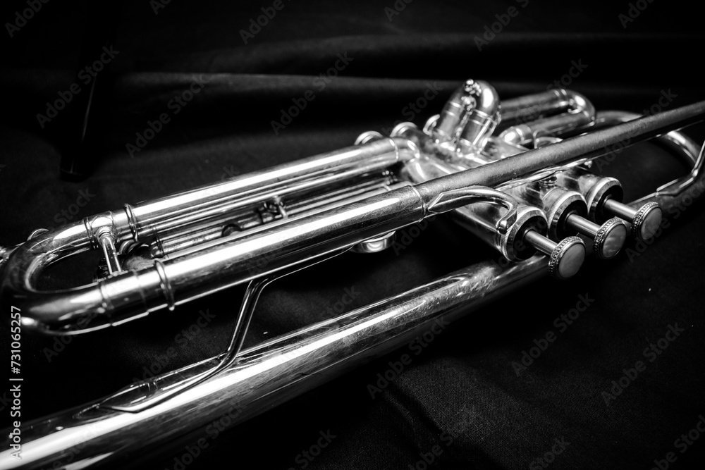 Naklejka premium trumpet on black background