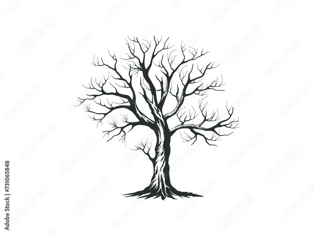 Obraz premium dry tree vector illustrations isolated on white