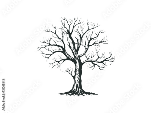 dry tree vector illustrations isolated on white