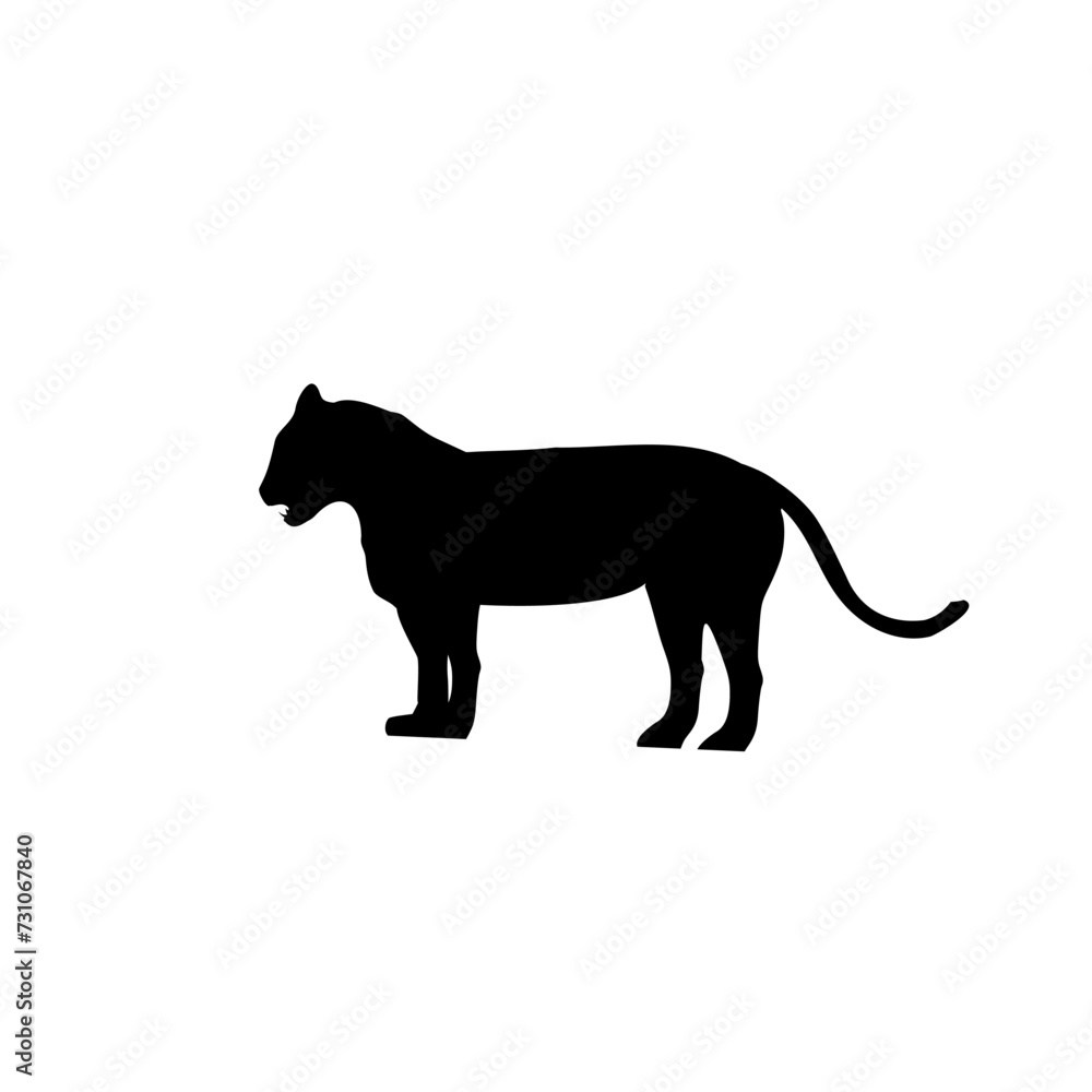 Tiger black silhouettes isolated on white background 