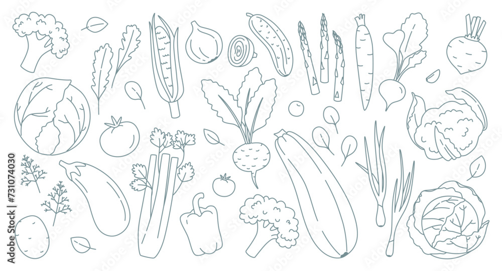 Set of vegetables and herbs in doodle style. Monochrome vector illustration. Vegetarian food, cabbage, zucchini, eggplant, carrots, tomatoes, cucumber, carrots, greens and others.
