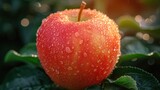 a red apple sitting on top of a green leafy tree covered in drops of water on a sunny day.