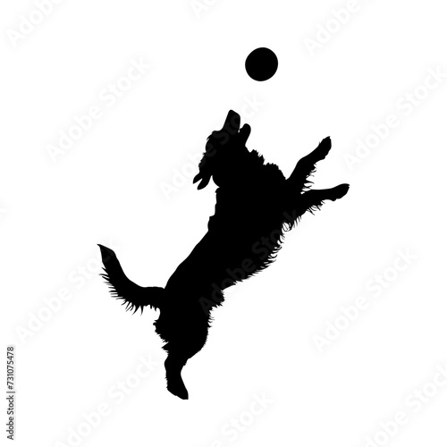 Dog playing with ball