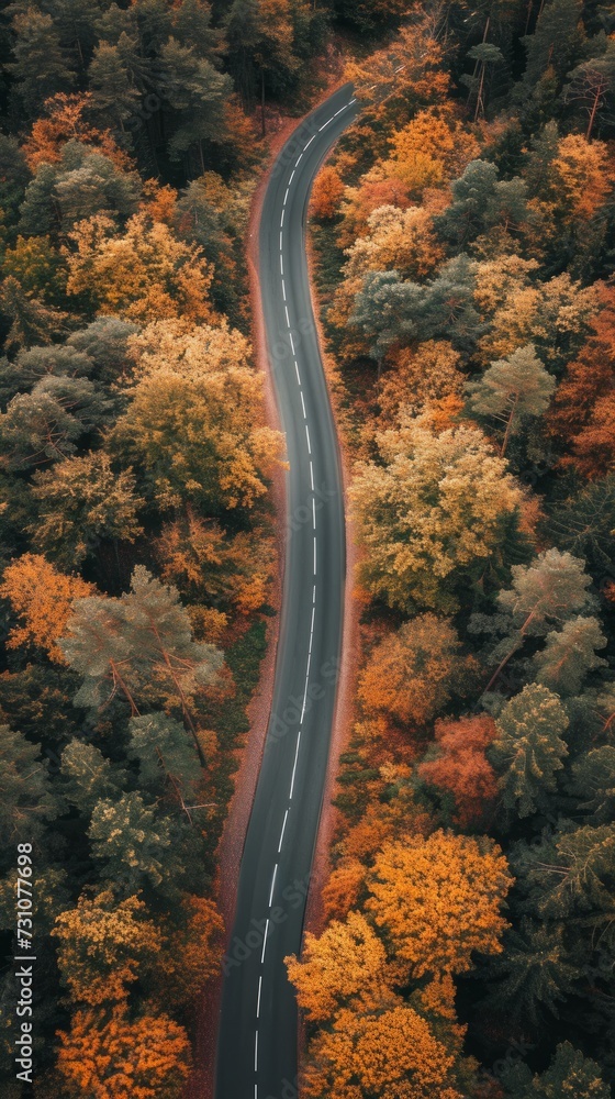 An elevated view of a road winding through a forest during autumn.