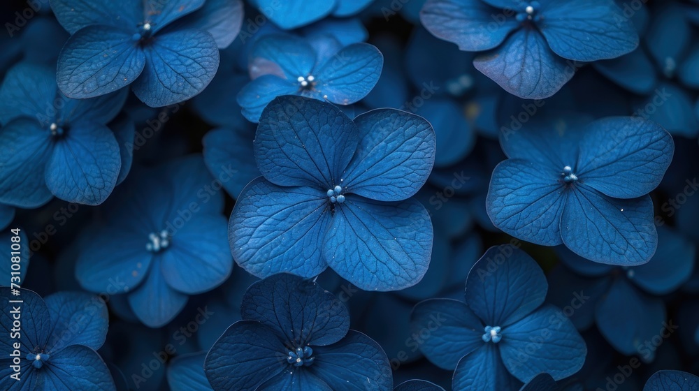 a bunch of blue flowers that are in the middle of a bunch of blue flowers that are in the middle of a bunch of blue flowers.