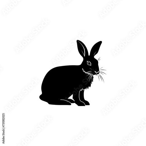 The illustration catches the eye with the black silhouette of a rabbit on a white background.