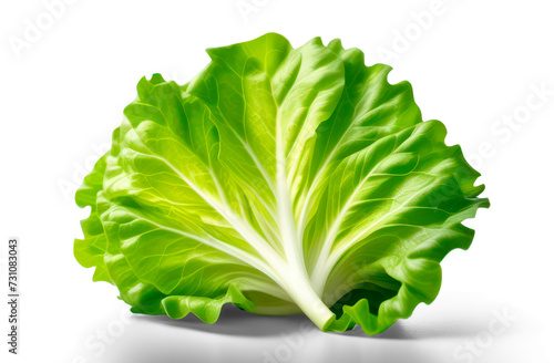 green lettuce isolated on transparent background, png file