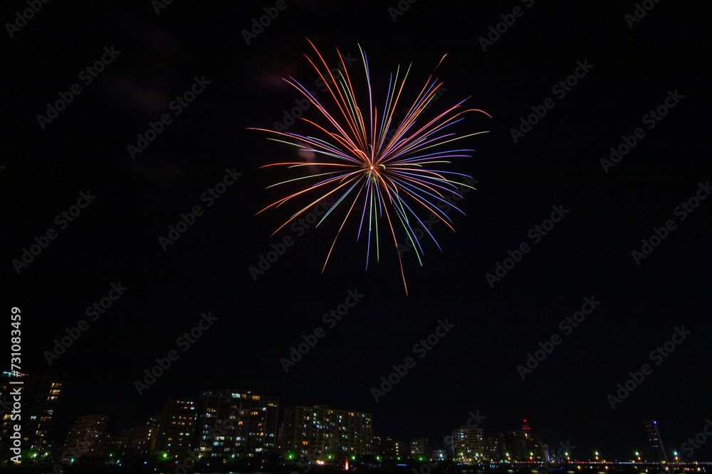 新潟まつり花火大会