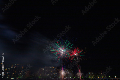新潟の花火 © leap111