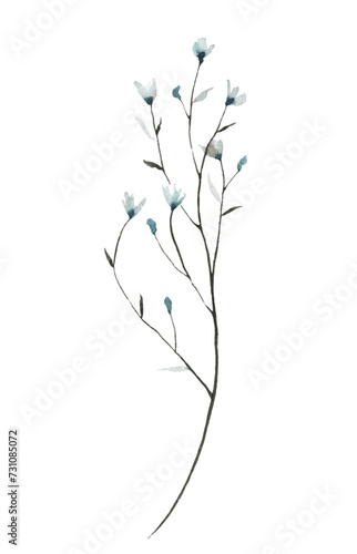 Watercolor painted floral artistic blue  gray wild little forget me not flowers. 