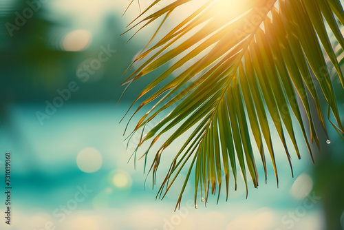 Beautiful nature green palm leaf on tropical beach with bokeh sun light