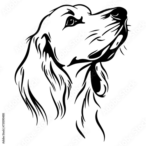 English Setter dog black silhouette logo svg vector, English Setter icon illustration.