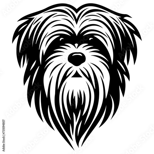 Havanese dog black silhouette logo svg vector, Havanese icon illustration.