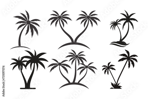 palm tree silhouettes © A.Selawi