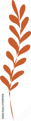Branch