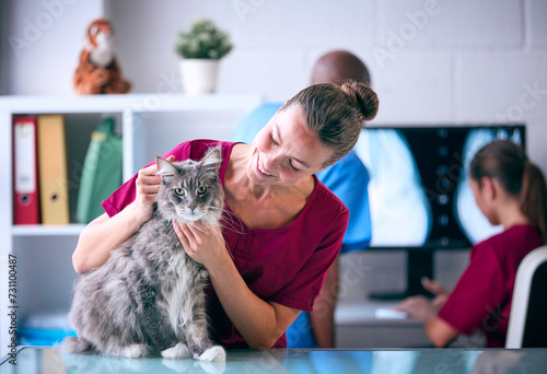 Female Vet Examining Pet Cat In Surgery With Veterinary Team In Background