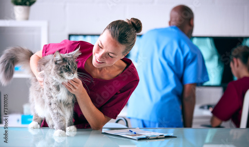Female Vet Examining Pet Cat In Surgery With Veterinary Team In Background photo