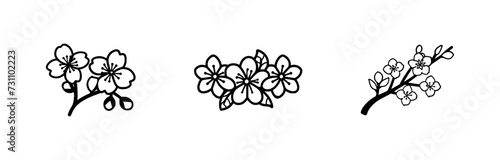 cherry blossom illustration and icon - flat design #731102223