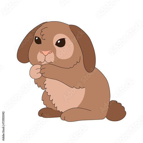 Rabbit in cartoon style isolated on white. Vector illustration.