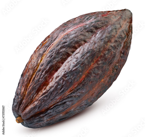 Cocoa pod isolated on white background. Cocoa full macro shoot clipping path. Cocoa pod with clipping path